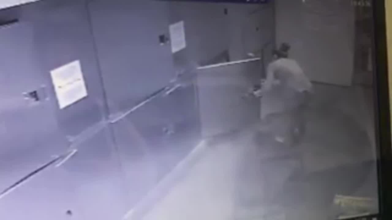 Woman breaks into animal shelter and steals dog