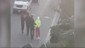 Armed robber hides in Marina Del Rey apt after pursuit