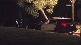 Man killed in hit and run at Santa Ana park