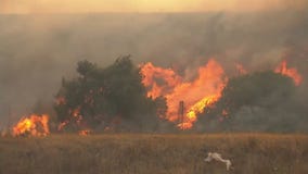 Brush fire in Anaheim Hills prompts mandatory evacuations