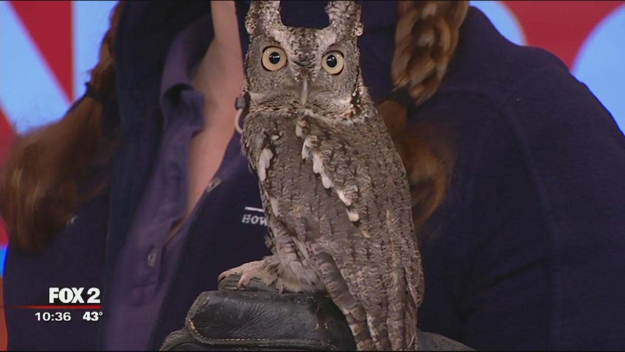 See Michigan native wildlife at Howell Nature Center