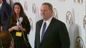 Harvey Weinstein fights back