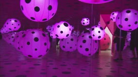 A first look inside the 'Infinity Mirrors' exhibit at the Broad