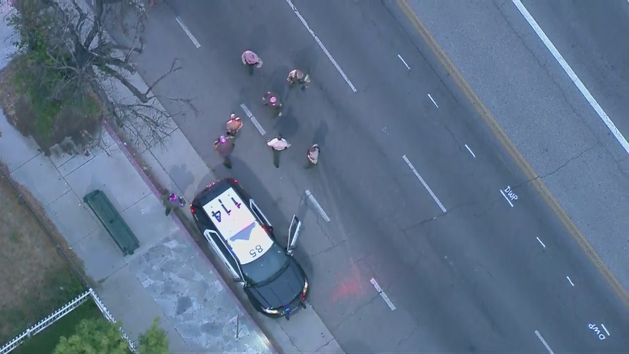 Suspect in custody after chase in stolen sheriff's patrol vehicle