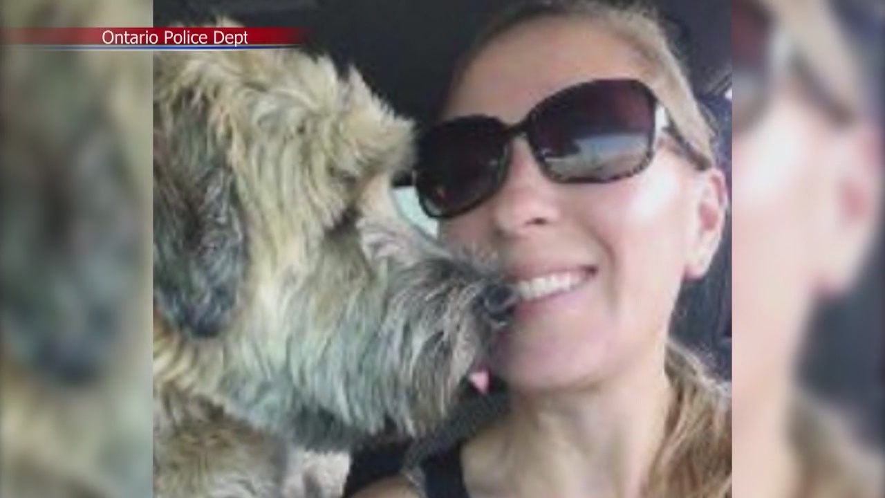 Remains of missing Army captain reportedly found in shallow grave in Ontario