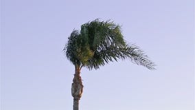 SoCal braces for gusty winds, fire threat this week