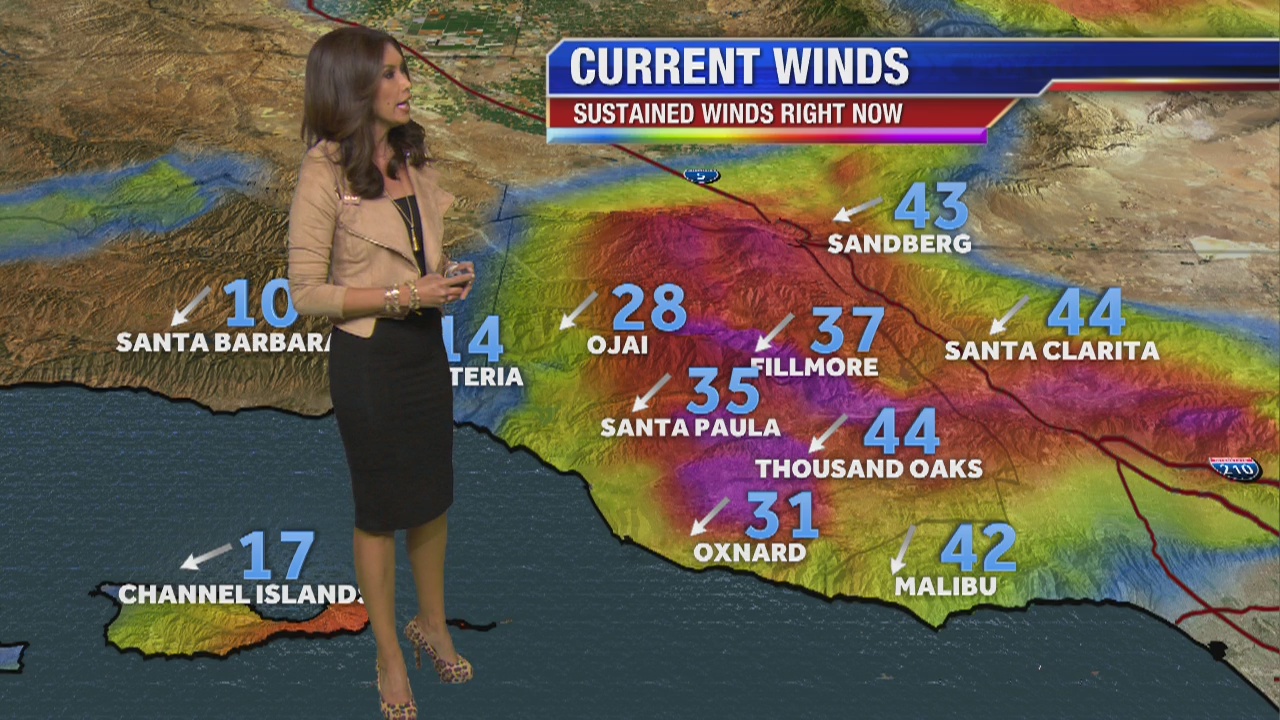 Tuesday weather forecast