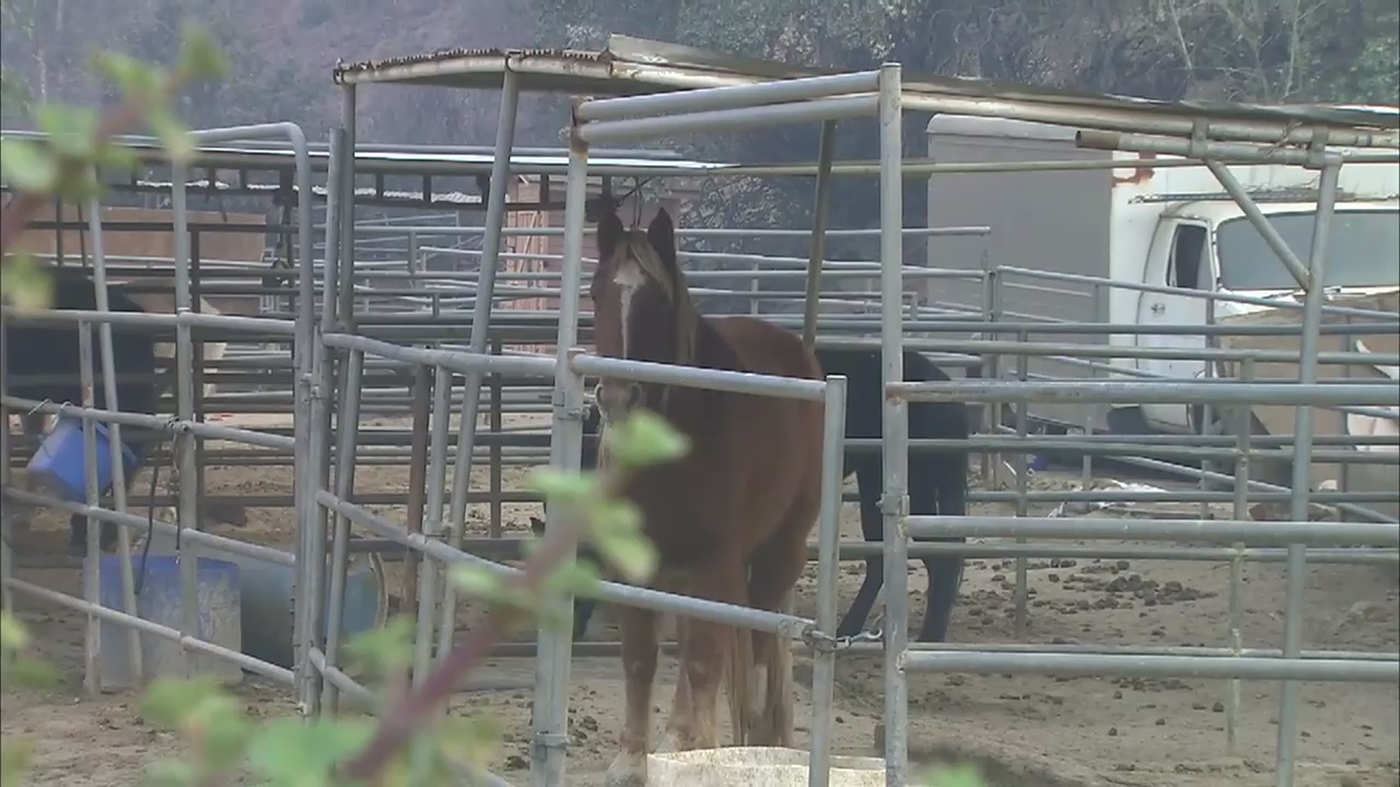 'Creek Fire' burns 11,000 acres above Sylmar and prompts evacuations