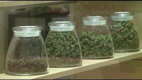 Recreational pot: License applications begin in Los Angeles
