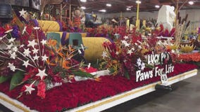 129th Rose Parade kicks off in Pasadena