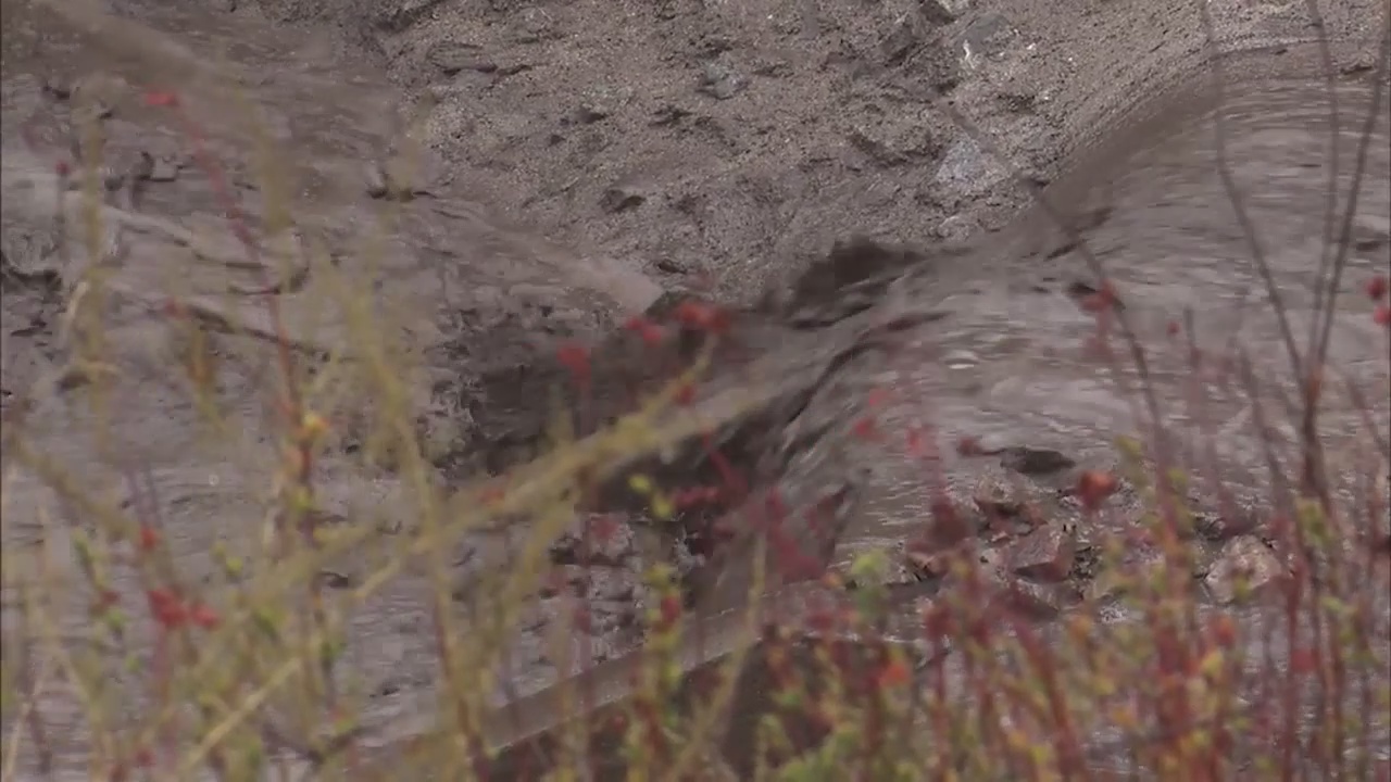 Burbank residents near Country Club drive ordered to evacuate