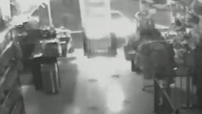 Smash and grab dognapping in La Mirada