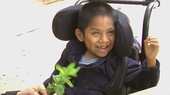 Wednesday's Child - Emmanuel