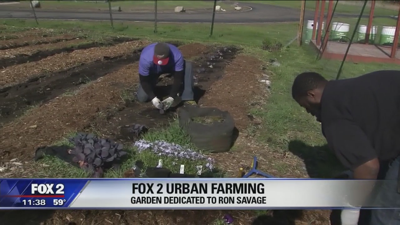 FOX 2 Urban Farming Garden dedicated to Ron Savage