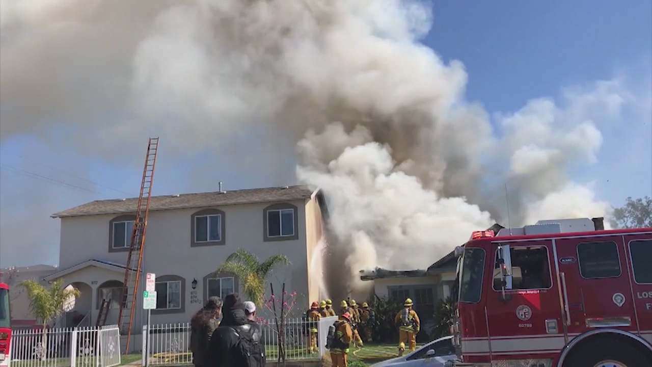 Squatters in burned home