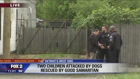 Strangers save brothers being mauled by dogs in Detroit