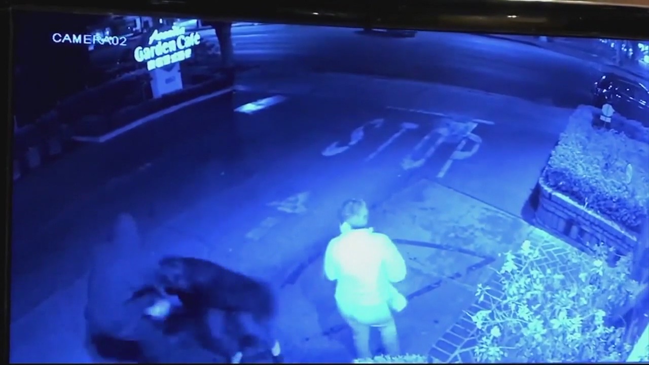 Violent purse snatching caught on camera in Arcadia