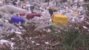 Part 3: Water trash bins after rains