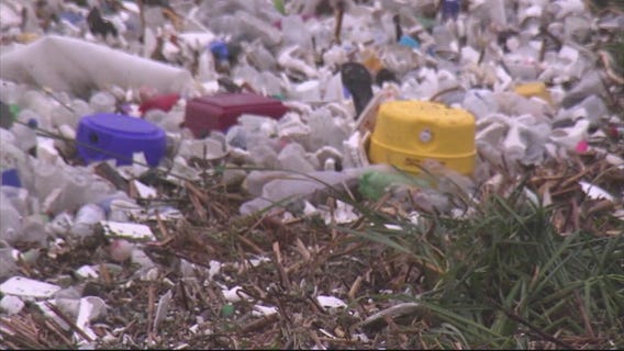 Part 3: Water trash bins after rains