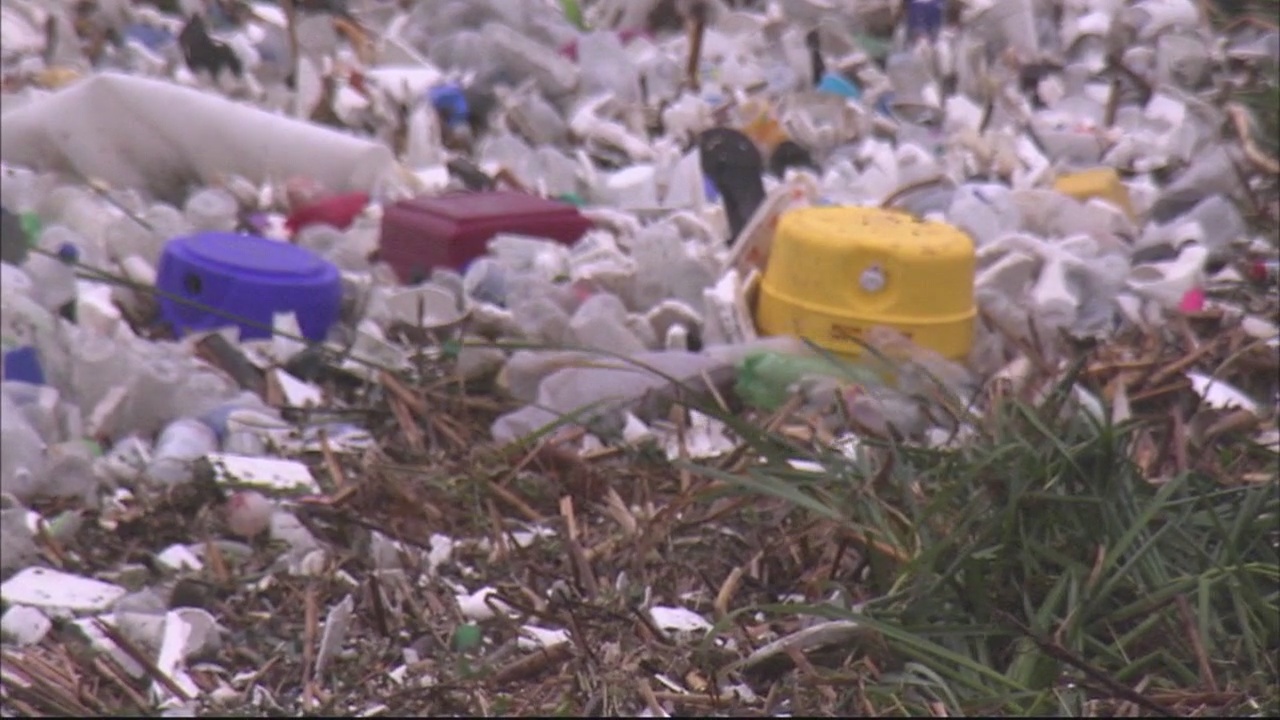 Part 3: Water trash bins after rains