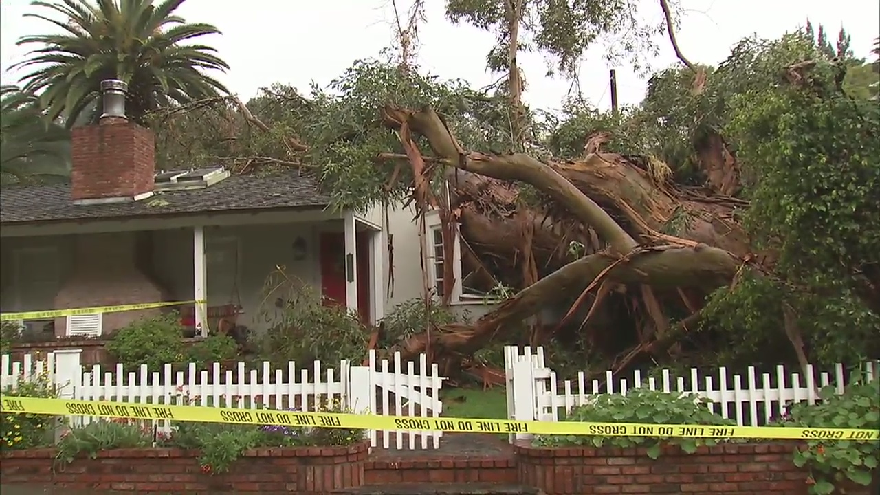 Massive tree falls on Sherman Oaks home