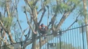 Man with knife arrested after barricade in Denny's restaurant