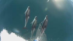 In Depth: April 15, Part 4