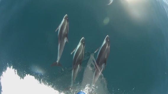 In Depth: April 15, Part 4