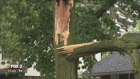 50,000 still without power