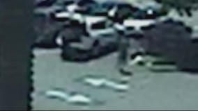 99 cents story elderly purse attack