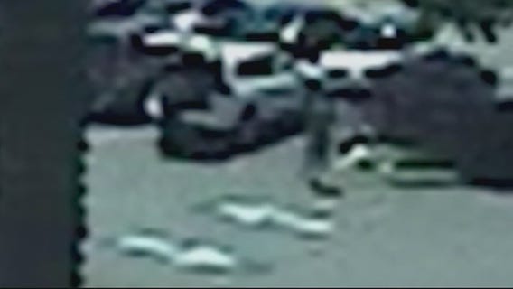 99 cents story elderly purse attack