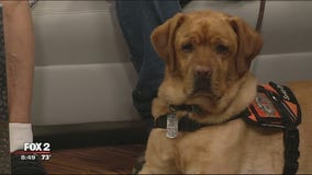 Bark-E-Que fundraiser for Stiggy's Dogs to aid veterans