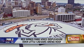 Little Caesars Arena roof dispute