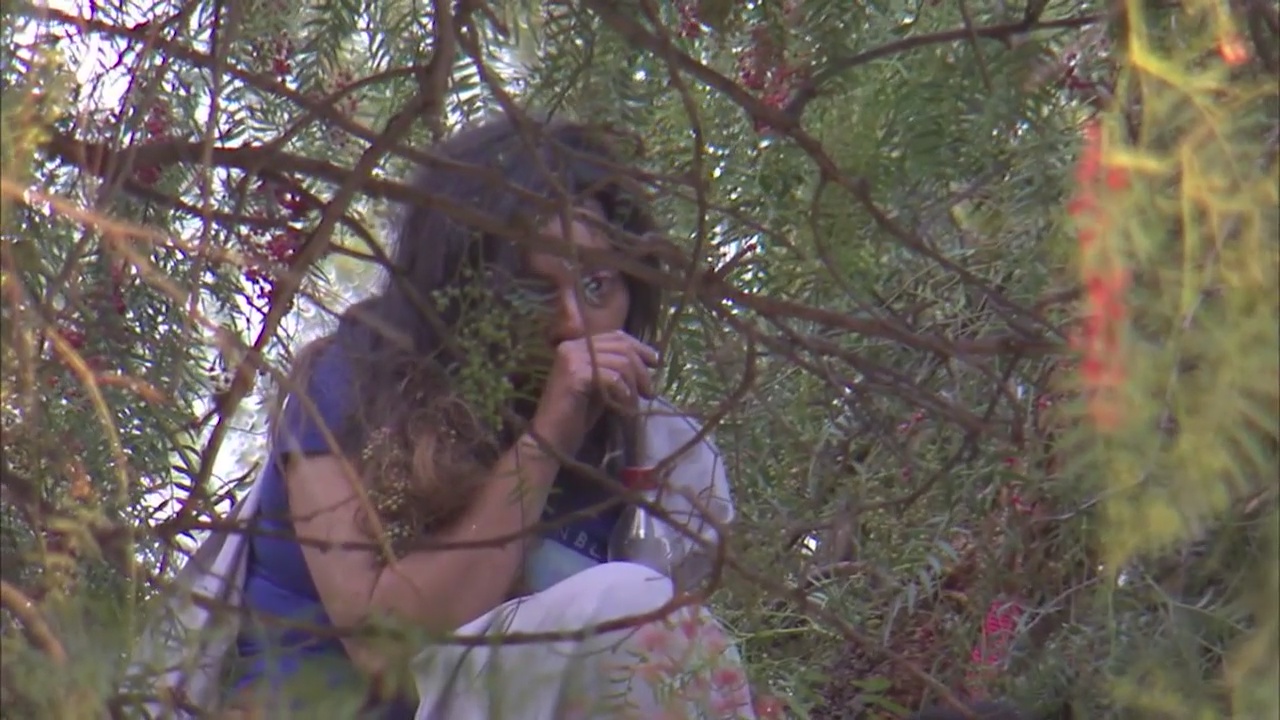 Woman climbs tree in Canoga Park, comes down after 11 hours