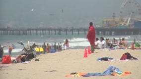 Fox 11 News In Depth (Part 3): Staycation in Southern California