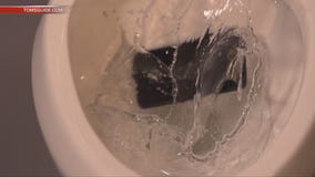 Drop Test: Tom's Guide finds the toughest cell phone