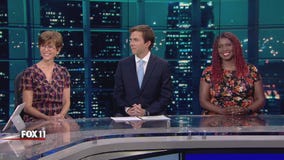 The Issue Is: Panel discusses California race for governor