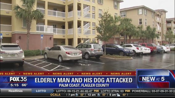 Elderly Flagler County man and his dog attacked