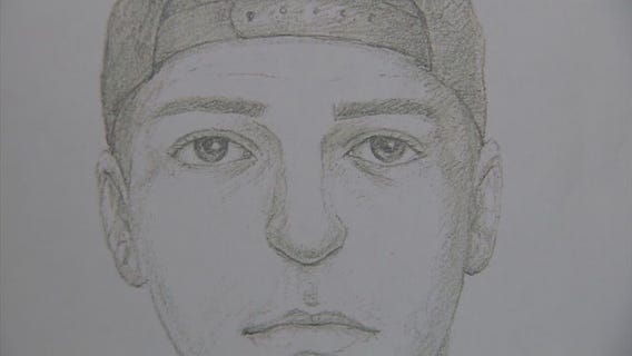 Predator on the prowl