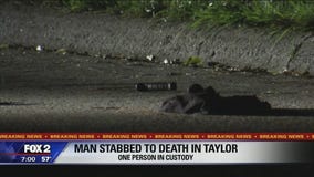 22-year-old dies after stabbing in street in Taylor
