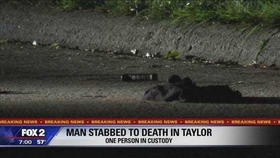 22-year-old dies after stabbing in street in Taylor