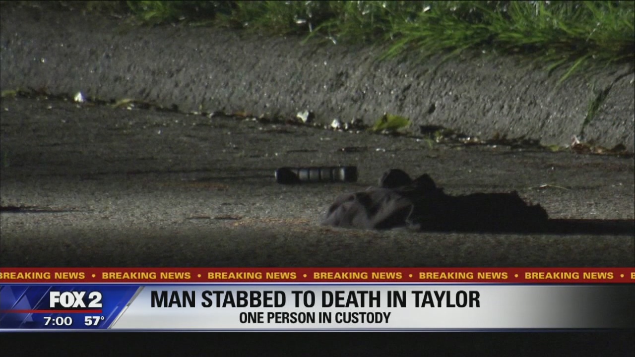 22-year-old dies after stabbing in street in Taylor