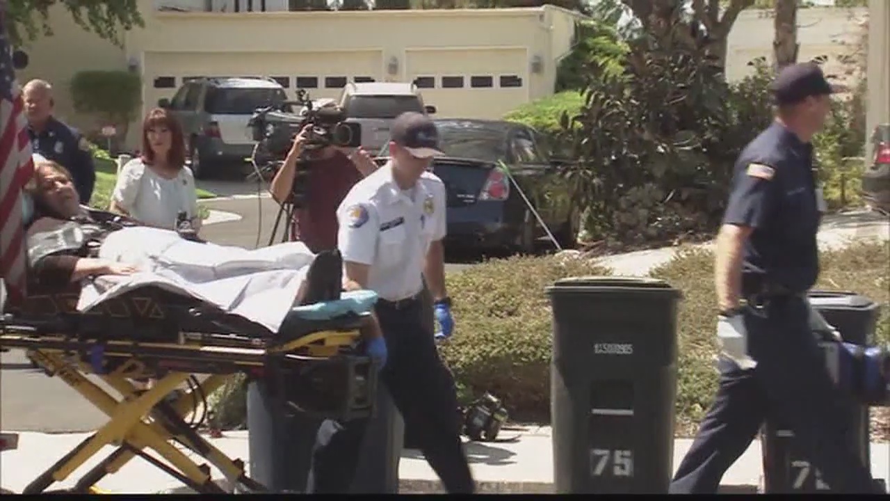 Bee swarm attack in Lake Forest