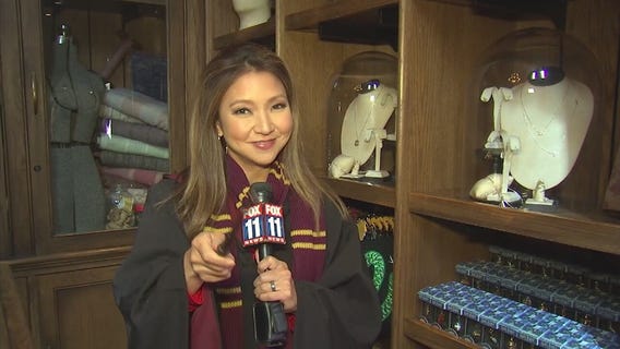 Harry Potter anniversary celebration underway at Universal Studios Hollywood