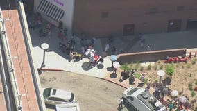 Hundreds line up outside Build-A-Bear at Glendale Galleria for 'Pay Your Age' day