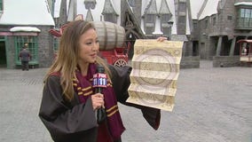 Wizarding World of Harry Potter celebrates anniversary at Universal Studios Hollywood