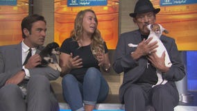 Kenickie and Rizzo at Paw Works