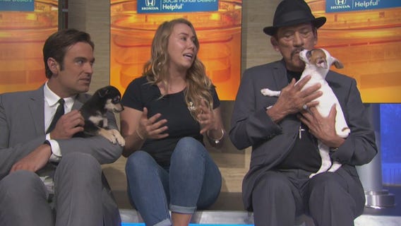 Kenickie and Rizzo at Paw Works