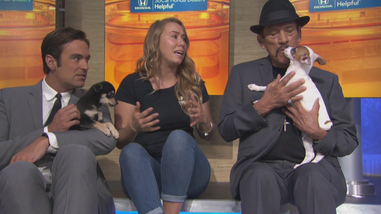 Kenickie and Rizzo at Paw Works