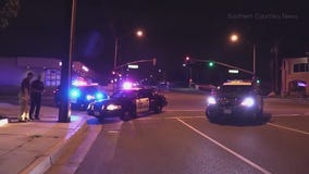 Woman jumps from moving minivan, dies at hospital